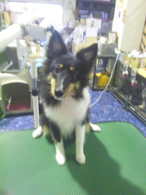 111008_172332 111008_172332