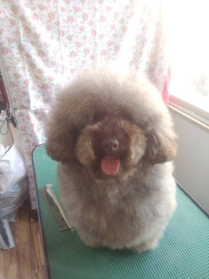 969760_312328685568794_1939886421_n