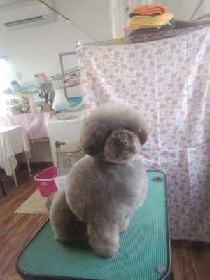 969849_312328698902126_1199232561_n