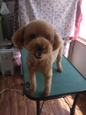 130629_133607 130629_133607