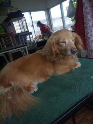 130713_112205 130713_112205