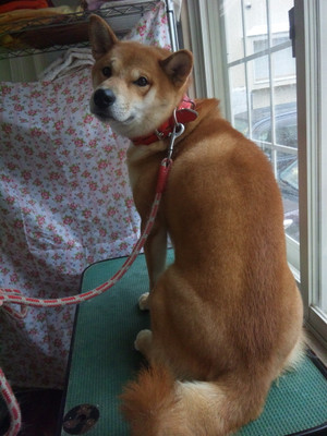 130713_114741 130713_114741