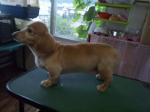 130713_153336 130713_153336