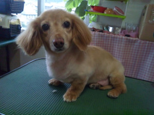 130713_153359 130713_153359