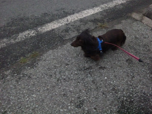 130713_174702 130713_174702