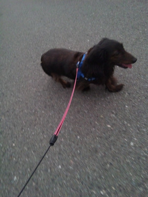 130713_175447 130713_175447