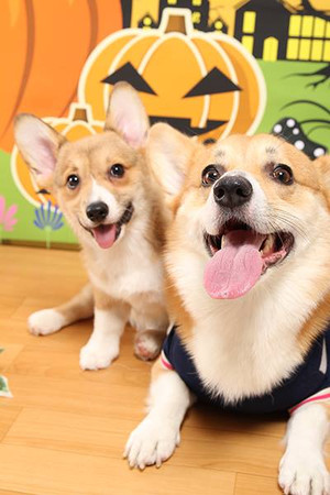 1383943_494942050601708_2028439039_ 1383943_494942050601708_2028439039_