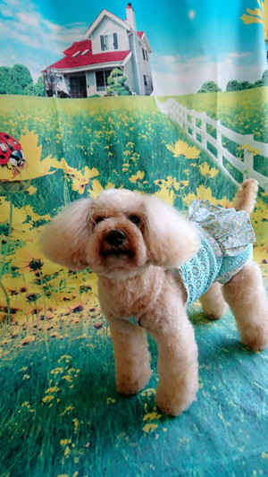 C360_20180804072246038