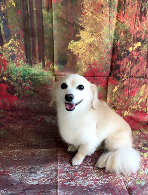 C360_20180819220152745