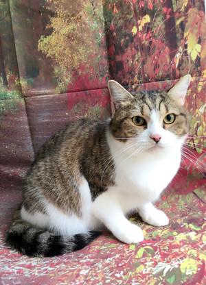 C360_20180819220219510