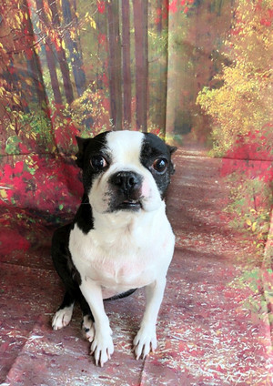 C360_20180819220241426