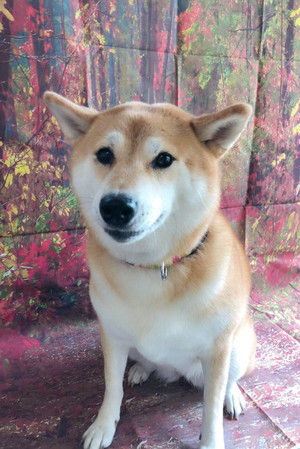 C360_20180819220307730