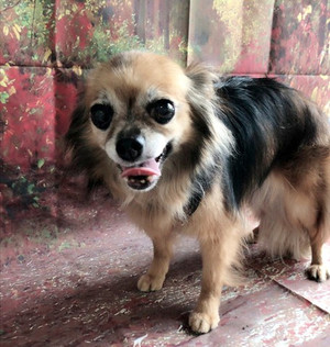 C360_20180826025724197