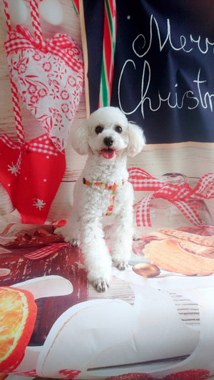 C360_20181127133310267