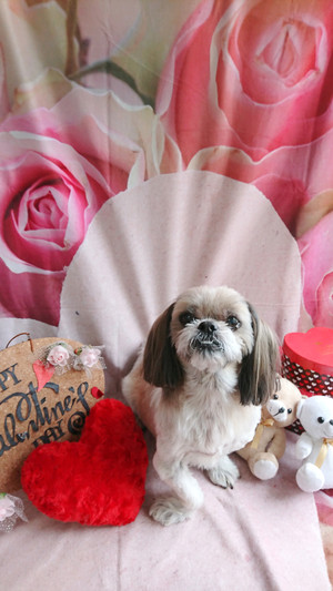 C360_20190206193602370_2