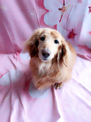 C360_20190409221051547