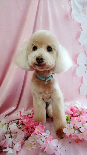 C360_20190411011702543