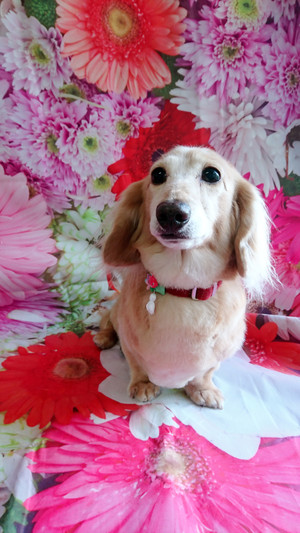 C360_20190610013138721 C360_20190610013138721