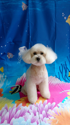 C360_20190709222742670