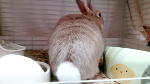 C360_20190816214908964