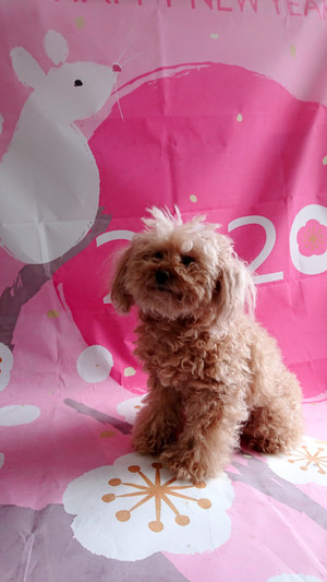 C360_20200106230346113