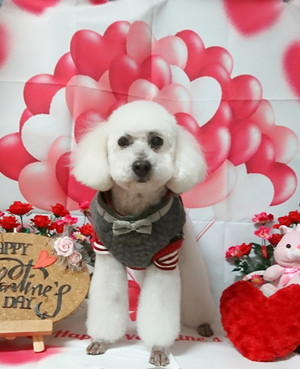 C360_20200129171954391