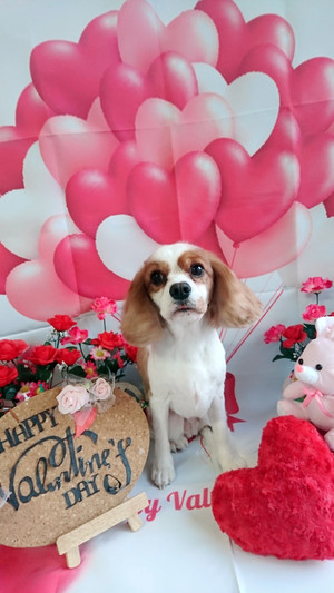 C360_20200131180507912