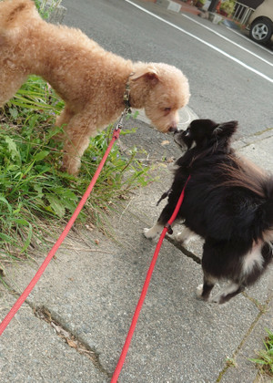 C360_20200812183834743 C360_20200812183834743