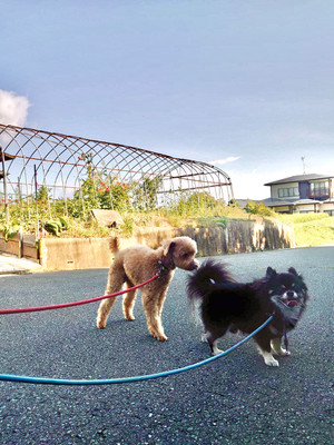 58c0477be40049b29e7fc56f8295628b 58c0477be40049b29e7fc56f8295628b