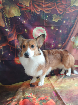 C360_20201101182936875