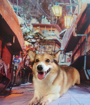 C360_20201117171513139 C360_20201117171513139