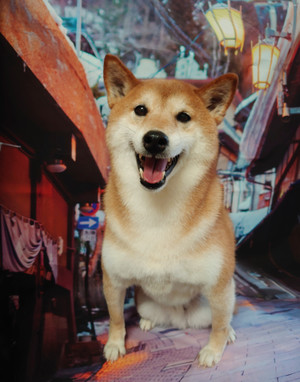 C360_20201117171529932 C360_20201117171529932