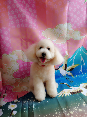 37d2b558b8dc48aa9c606b3513a04312