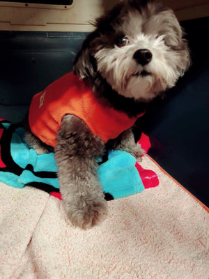 028da0d7202349bd8c2f9106240cc74b