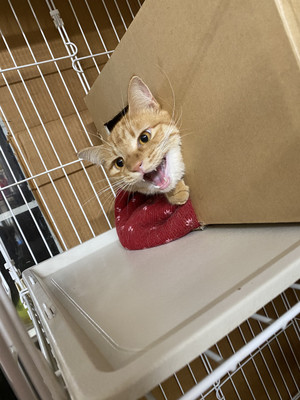 46cd0dd3afd640559803150eda9630a7