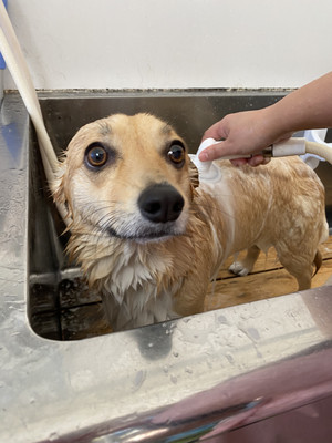 6a7f3114a39041e298426e381aff7e5f