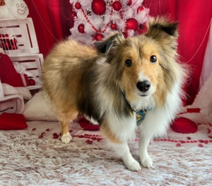 C360_2021112318315602