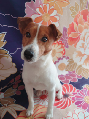 C360_2022010417232668