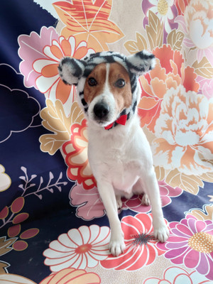 C360_2022010417234069