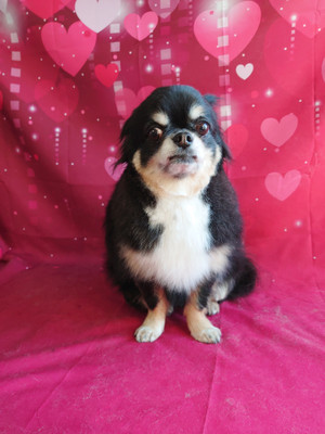 C360_2022021500104511