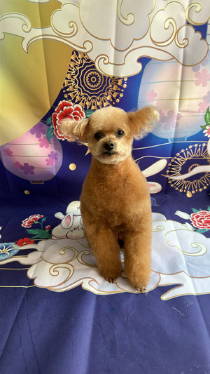 Img_0942_2 Img_0942_2