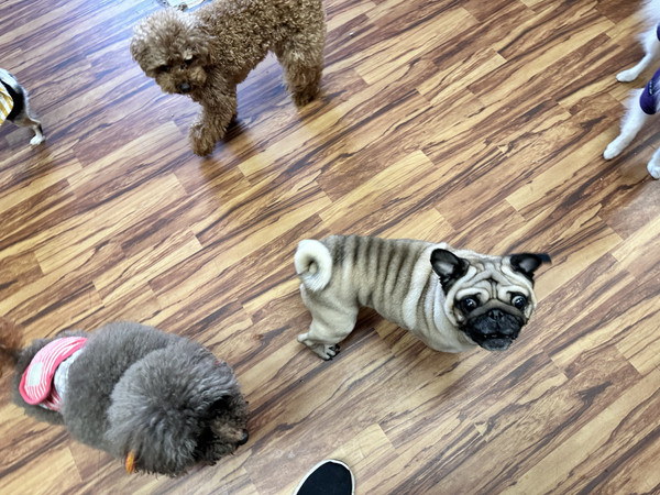 Img_3131_2 Img_3131_2